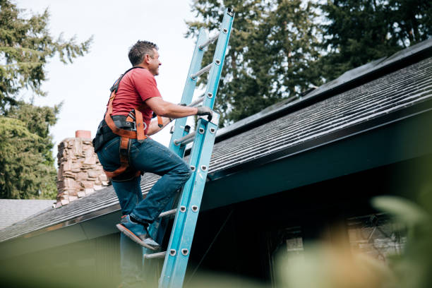 Best Roof Leak Repair  in Picture Rocks, AZ